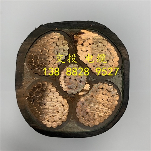 m.bmcj.cn