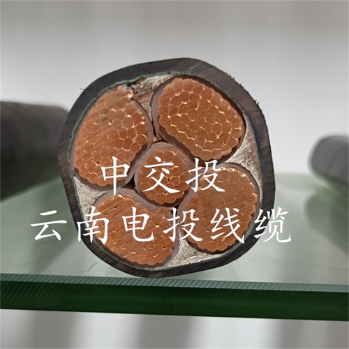 m.bmcj.cn