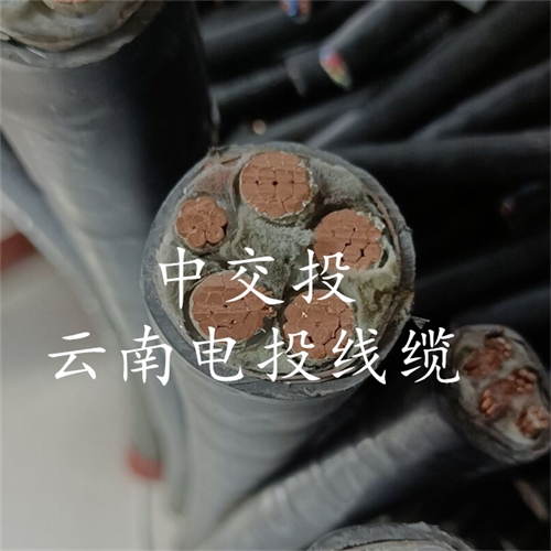 m.bmcj.cn