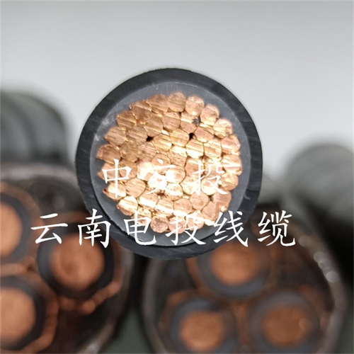 m.bmcj.cn