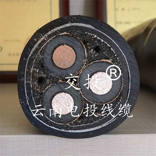 m.bmcj.cn