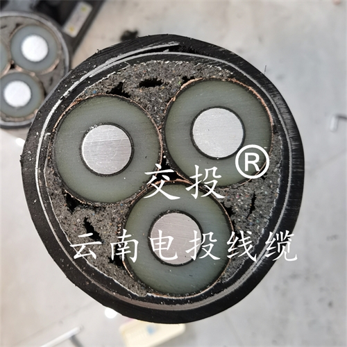 m.bmcj.cn