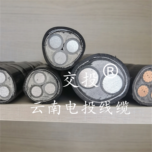 m.bmcj.cn