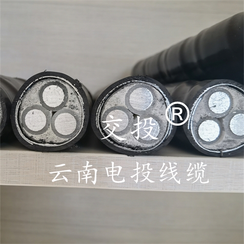 m.bmcj.cn