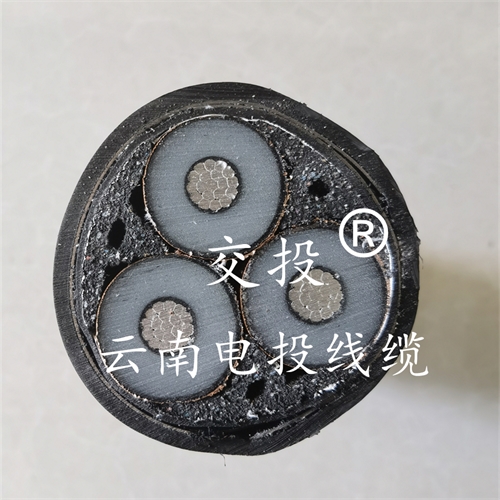 m.bmcj.cn