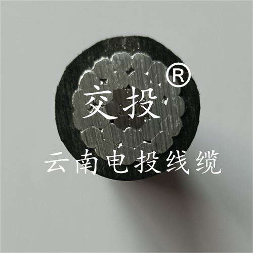 m.bmcj.cn