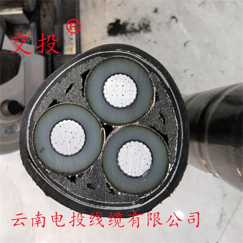 m.bmcj.cn