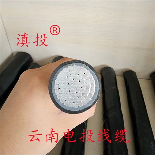 m.bmcj.cn